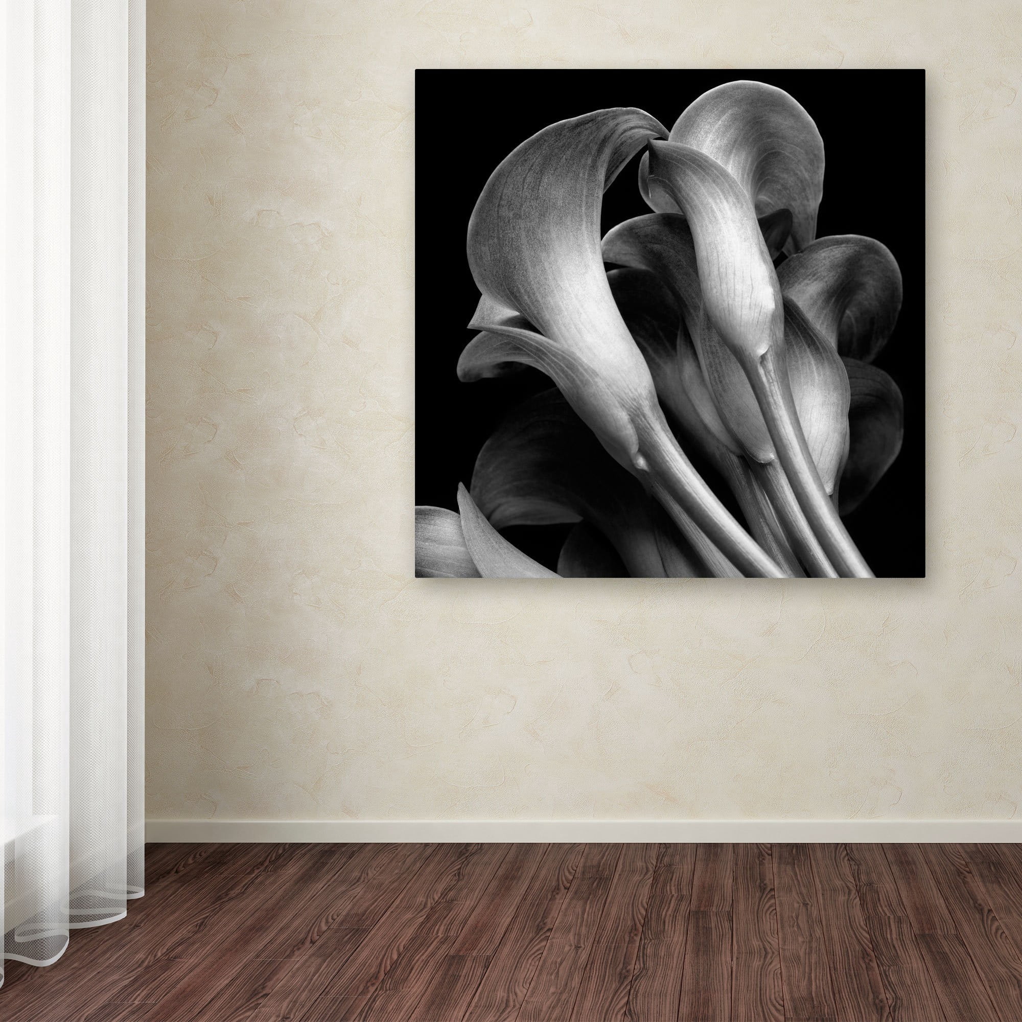 24x24 Gallery Wrapped Canvas Art
