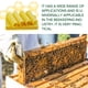 thumbnail image 3 of Ganfancp 10Pcs Natural Cera de Abejas Hoja de Apicultura Abeja con Excelente Habitación Nidos Miel Nidos Base Hoja de Cera de Abeja Nidos Base Panal(13Cm X9Cm) Ofertas y Liquidaciones 1*10 Pastillas, 3 of 7