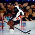 thumbnail image 6 of Bleacher Creatures Colorado Avalanche Bernie 10" Plush Figure- A Mascot for Play or Display, 6 of 6