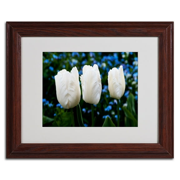 Trademark Fine Art "Three Parrot Tulips" by Kurt Shaffer, Wood Frame