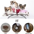 thumbnail image 4 of KitchenLeStar Cuencos para perros y gatos – Cuencos elevados de cerámica para comida de gatos, 12 onzas, aptos para lavavajillas, 4 of 5