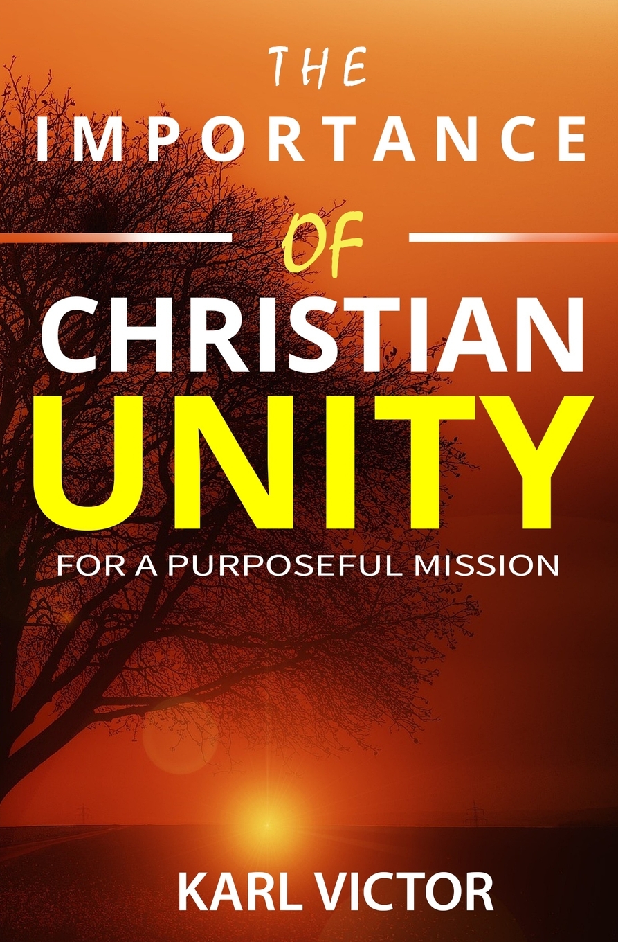 The Importance of Christian Unity for a Purposeful Mission (Paperback