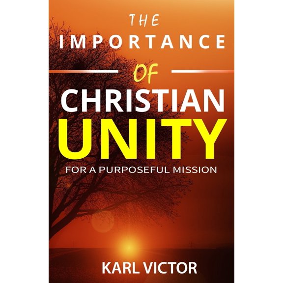 The Importance of Christian Unity for a Purposeful Mission