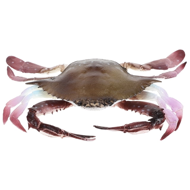 Crab Figure Sea Life Animal Figurine Realistic Sea Creature Model Role Play Educational Prop