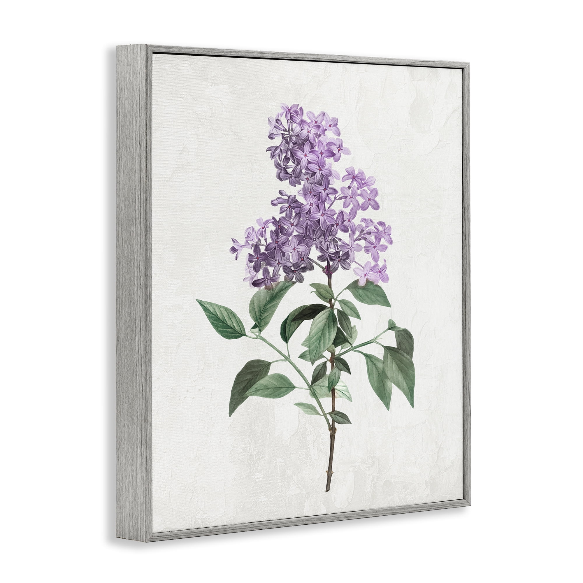 Stupell Industries Lilac Herb Blossoms Gray Framed Giclee Art, design by Kim Allen