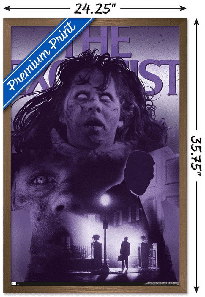 The Exorcist - Collage Wall Poster, 22.375" x 34", Framed