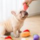 thumbnail image 5 of Juguetes para perros, cachorros, juguetes para masticar, patas de pollo, peluche, juguete chirriante para perros, gatos, mascotas, productos para mascotas, suministros, 5 of 5