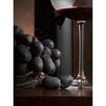 thumbnail image 3 of Seidman, Barry 14x18 Black Modern Framed Museum Art Print Titled - Black Grapes, 3 of 5