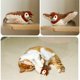 thumbnail image 2 of Cat Catnip Toys For Cats Flapping Catnip Toys,D, 2 of 5