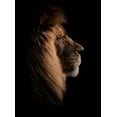 thumbnail image 2 of Schade, Peter 14x18 Gold Ornate Wood Framed with Double Matting Museum Art Print Titled - Sleeping King, 2 of 4