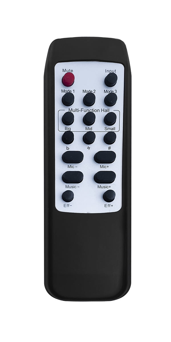 Singtronic DSP-2000Pro Professional Digital Key Control Echo Karaoke Processor, Mini Karaoke Machine