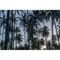 thumbnail image 3 of Head, Danny 18x13 Black Modern Framed Museum Art Print Titled - Palm Grove I, 3 of 5