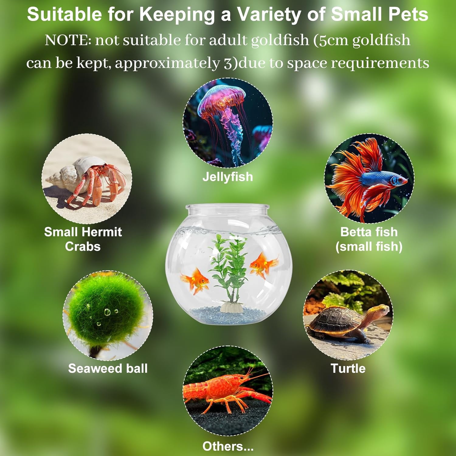 Plastic Goldfish Fish Bowl Drum Round Crystal Clear Aquarium Fish Tank Starter Kits with 1 Artificial Aquatic Plant and 1 Bag Mini Ornamental Stones (0.72Gallon/ 2.75L)