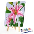 thumbnail image 2 of Wdftyju Flor especial 40x50cm pintura al óleo por números cuadro DIY pintura M420 Wdftyju 5ul5ph2yt4ch9kg7D05, 2 of 9