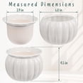 thumbnail image 2 of EFISPSS 6" Self-Watering Pumpkin-Style Ceramic African Violet Pot – Pumpkin-White Indoor Planter, No Plant Included, 2 of 8