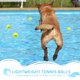 thumbnail image 4 of Pelotas de tenis para perros COVGOPI, paquete de 12 unidades, goma chirriante, 6,4 cm de diámetro, 4 of 7