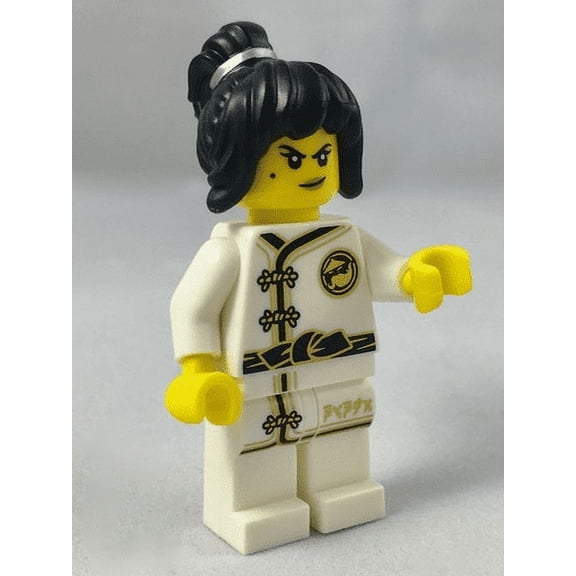 LEGO Collectible Minifigure Series The Lego Ninjago Movie Spinjitzu Training Nya - Complete Set