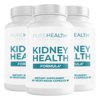 Kidney Health, Complete Kidney Cleanse Solution with Chanca Piedra by PureHealth Research x3