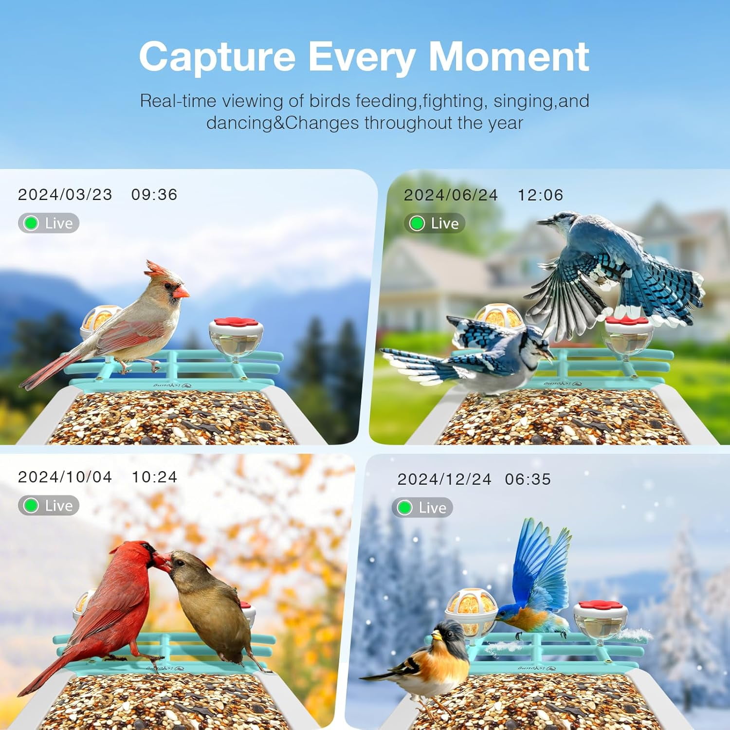 Smart Bird Feeder with Camera, AI Identify 16000+ Birds, 5W Solar, 170° View, Motion Detection – Ideal Gift for Bird Lovers