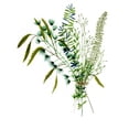 thumbnail image 2 of Wang, Melissa 12x14 White Modern Wood Framed Museum Art Print Titled - Green Bouquet I, 2 of 4