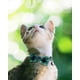 thumbnail image 2 of Breakaway Cat Collar with Bow Tie and Bell, Cute Plaid Patterns, 1 or 2 Pack Kitty Safety Collars, 2 of 5