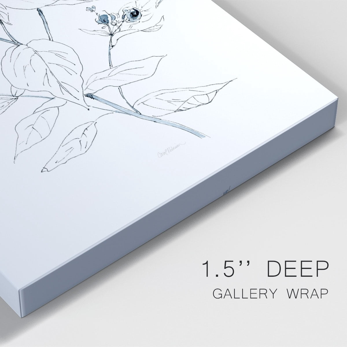 Indigo Sketch I Premium Gallery Wrapped Canvas - Ready to Hang