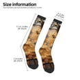 thumbnail image 2 of Naloa Antique Map Adventure Scene Knee Socks, High Socks Long Stretchy Sock Women Knee High Stocking, Long Socks for Women, 2 of 6