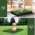 thumbnail image 2 of Vivifying Turf Potty Pads for Puppy Dogs Pee Training, Dog Grass Pet Loo Indoor/Outdoor,Washable Pet Mat, Fake Artificial Grass for Dogs Potty,25"x20",with Tray, 2 of 8