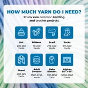 Mary Maxim Prism Yarn, Soft Acrylic DK Variegated Yarn 3.5 oz Skein 290 Yards, Rain Shower