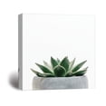 thumbnail image 2 of wall26 Canvas Print Wall Art Green Succulent in Gray Pot Nature Wilderness Photography Realism Chic Scenic Relax/Calm Multicolor for Living Room, Bedroom, Office - 24"x24", 2 of 4