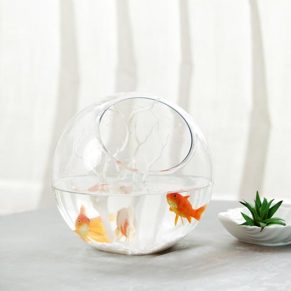 Efavormart Slant Cut Round Glass Vase Table Top Glass Terrarium Bowl