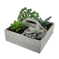 thumbnail image 1 of Artificial Succulent Plant Garden in Wooden Box, 1 of 3