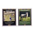 thumbnail image 2 of Expansión de cartas de sobremesa, mensual, compatible con Settlers of Catan, 2 of 7