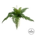 thumbnail image 3 of Vickerman 16" Artificial Green Leather Fern Bush, Pack of 2, 3 of 4