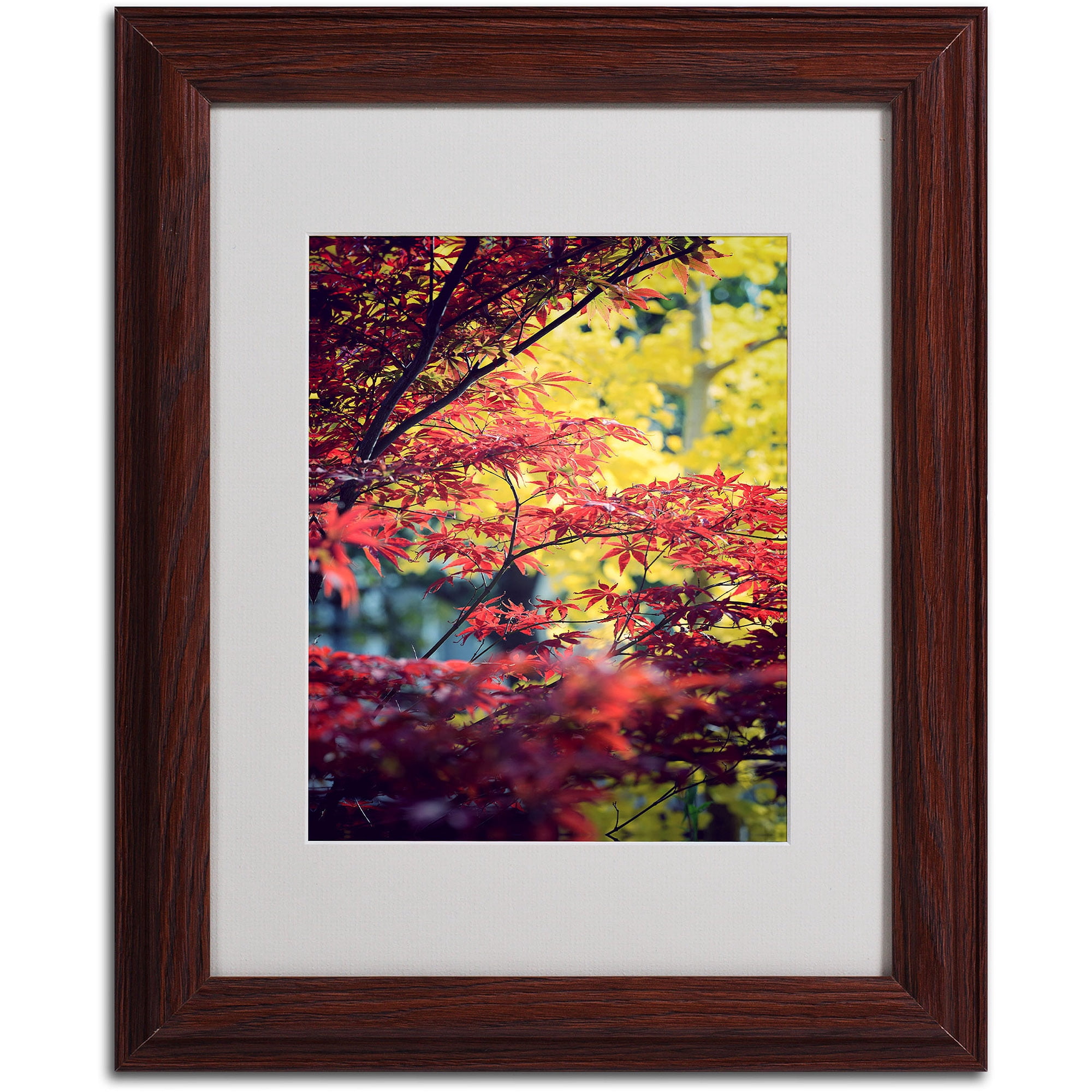 Trademark Fine Art "Red vs Yellow" Canvas Art by Philippe Sainte-Laudy, Wood Frame