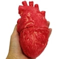 thumbnail image 2 of Falso Corazón Humano Látex Tamaño Real Corazón Bloody Horror Props Para Halloween ANGGREK Fake Human Heart, 2 of 6