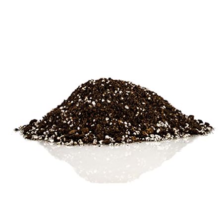 Premium Organic Potting Soil, Succulent & Cactus Soil Mix, Fast Draining Pre-Mixed Blend - Horticultural Perlite (25%) + Peat Moss (75%) - Made in USA - 1 Quart