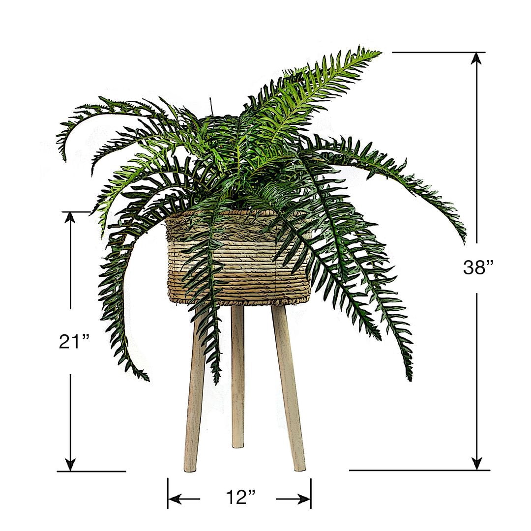 LCG Florals 38" Artificial Trailing River Fern in Tri-Color Tripod Basket Stand