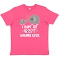 thumbnail image 3 of Inktastic Best Gammy Ever Grandchild Gift Youth T-Shirt, 3 of 5