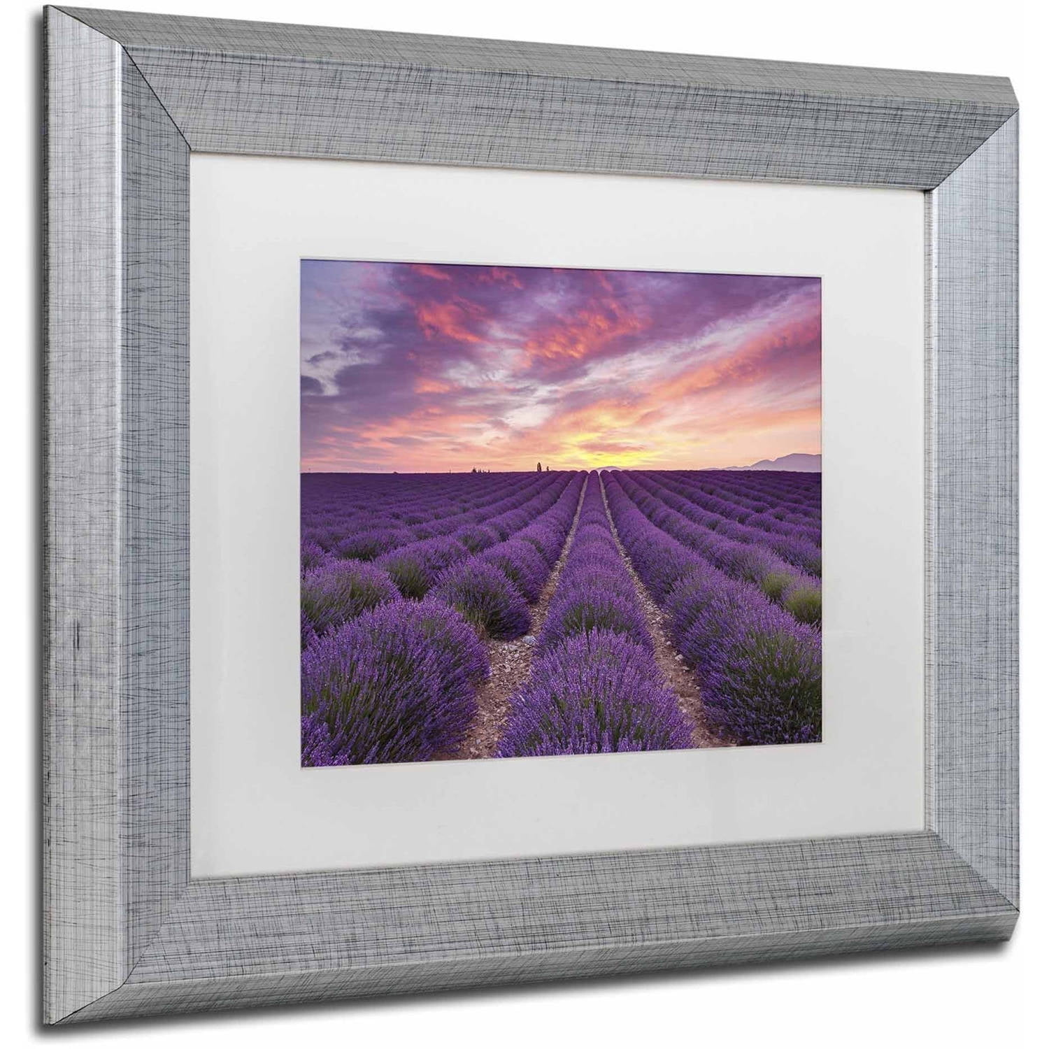 Trademark Fine Art 'Lavender Sunrise' Canvas Art by Michael Blanchette Photography, White Matte, Silver Frame