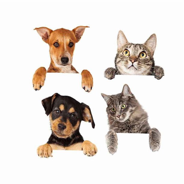 Adhesivos de pared de PVC con dibujos animados de gatos y perros, 20 x 19 cm