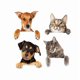 thumbnail image 1 of Adhesivos de pared de PVC con dibujos animados de gatos y perros, 20 x 19 cm, 1 of 2