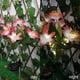thumbnail image 4 of ¡Campaña con descuento!Luces decorativas de flores solares, luces de flores impermeables para jardín al aire libre, luces solares de estaca para decoración del hogar, 4 of 5