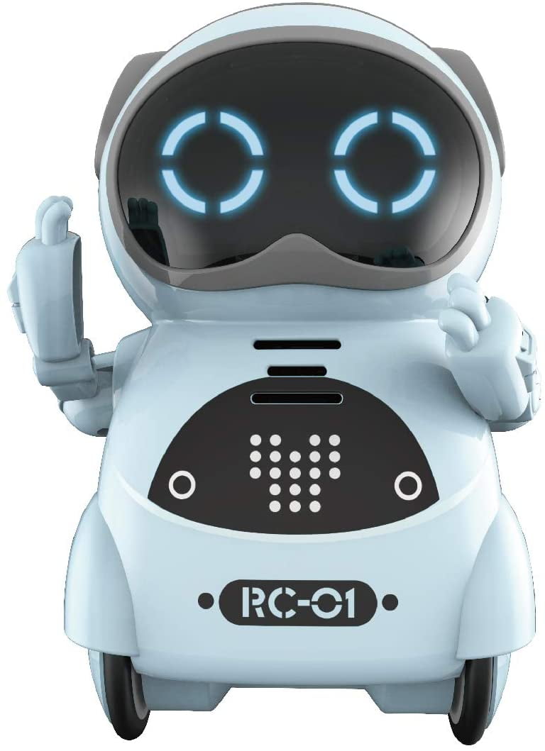 mini pocket robot