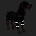 thumbnail image 3 of par de ortesis para patas traseras de perro, ideal para curar heridas en las patas, prevenir lesiones articulares y esguinces. Vendaje para articulaciones de perros., 3 of 5