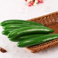 thumbnail image 2 of opvise Simulation Vegetable Realistic No Withering Wear-resistance Photography Props Simulation Foam Cucumber Model for Dining Room Green, 2 of 7