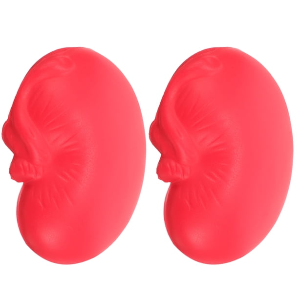 Pelota de ejercicio para dedos en forma de riñón, pelota de agarre profesional, entrenador de rehabilitación, ejercitador de mano, 2 uds.
