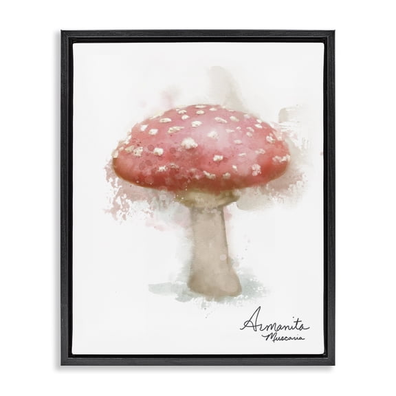 Stupell Industries Contemporary Abstract Amanita Mushroom Black Floating Frame Canvas Art, 17 x 21, by Matthew Piotrowicz