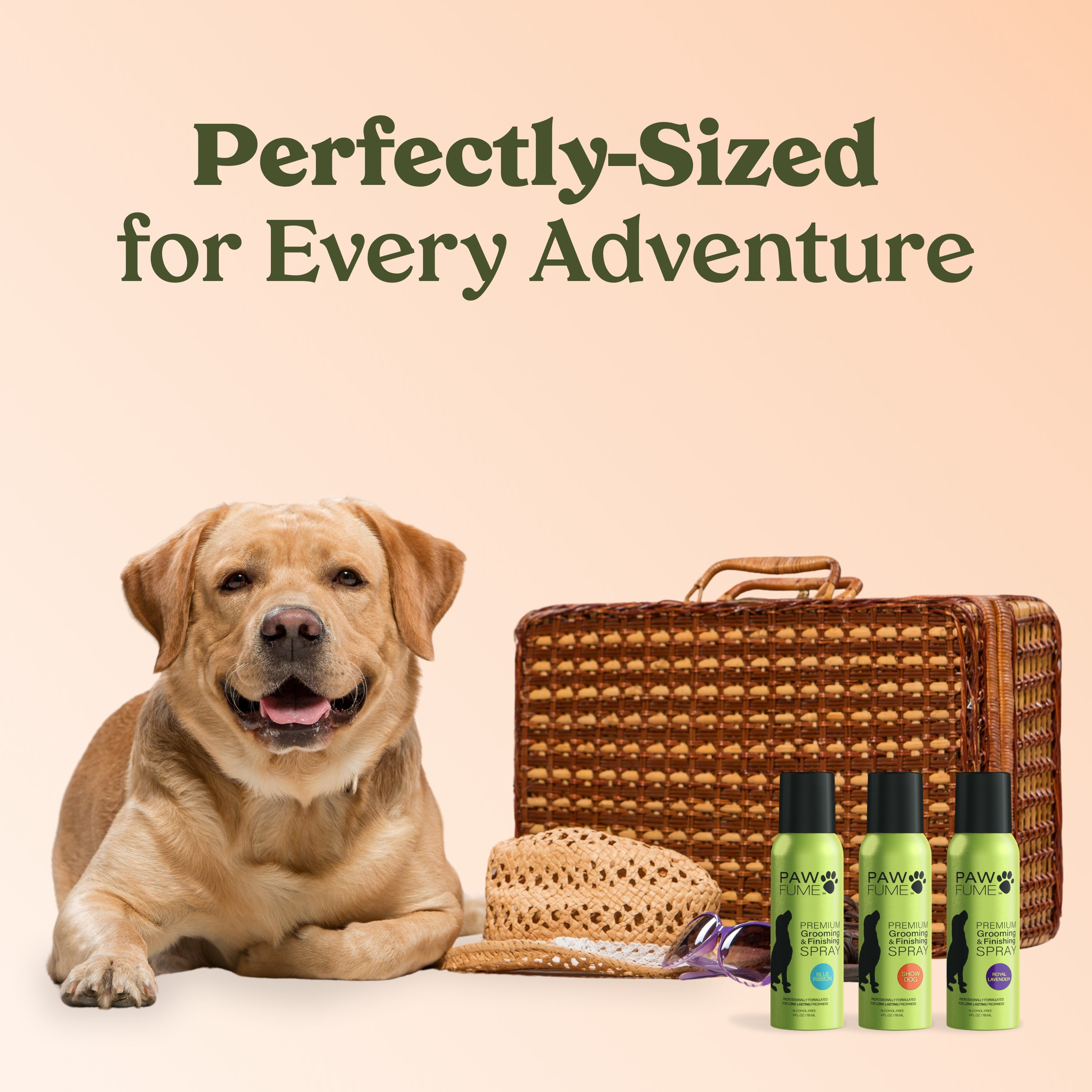 PawFume Show Dog Premium Grooming and Finishing Deodorizer Dog Spray, 4 fl oz Can
