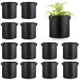 thumbnail image 1 of 12 PCS Bolsas de cultivo de 3 galones Planta de tela no tejida de cultivo para frutas de flores de zanahoria de zanahoria, 1 of 6